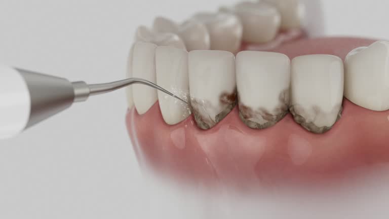 Reliable Dental contractor in Spring Lake Park, MN by Dentist Open Now
